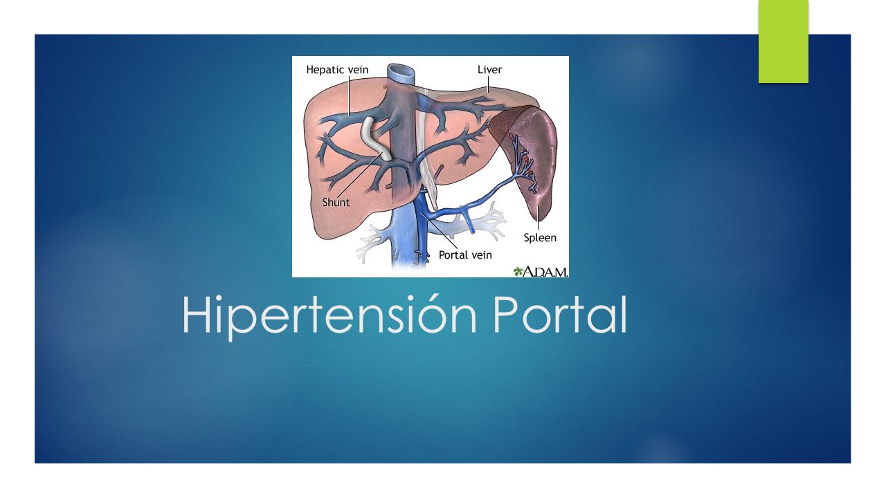 Enfermedad hepática crónica con hipertensión portal ppt